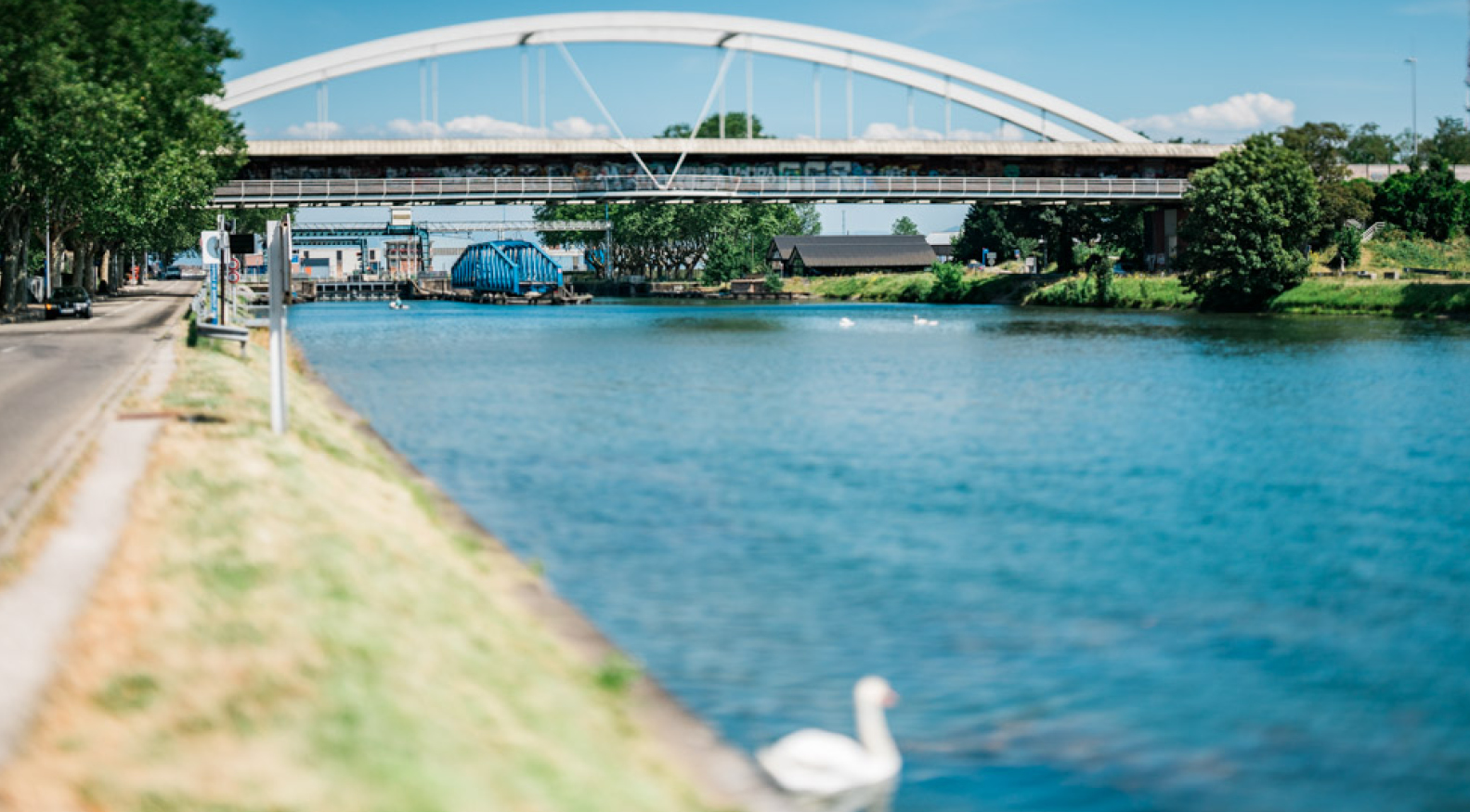 CRANE-Vortrag: Resilienz von Brückenbauwerken